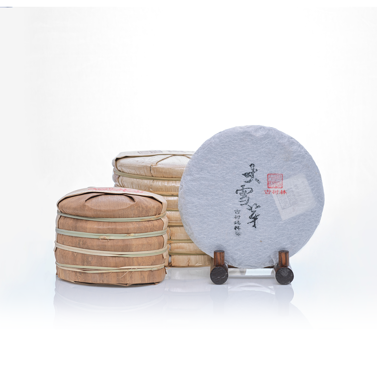 고수림 14 대설아